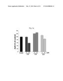 COMPOSITION CONTAINING ARYLNAPHTHALENE LIGNAN DERIVATIVE FOR PREVENTING     AND/OR TREATING DEMENTIA diagram and image