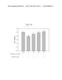 COMPOSITION CONTAINING ARYLNAPHTHALENE LIGNAN DERIVATIVE FOR PREVENTING     AND/OR TREATING DEMENTIA diagram and image