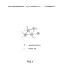 DISSOLUBLE PDMS-MODIFIED p(HEMA-MAA) AMPHIPHILIC COPOLYMER AND METHOD FOR     FABRICATING THE SAME diagram and image