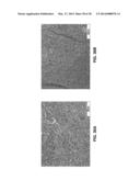 CRYOELECTRIC SYSTEMS AND METHODS FOR TREATMENT OF BIOLOGICAL MATTER diagram and image