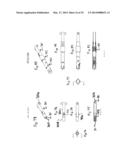 LANCET DEVICE UTILIZING A MAGNET AND METHOD OF MAKING AND USING THE SAME diagram and image