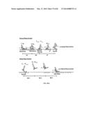 Powered Ankle-Foot Prosthesis diagram and image