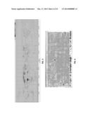 SYSTEM, METHOD AND COMPUTER MEDIUM HAVING COMPUTER PROGRAM TO DETERMINE     PRESENCE OF STRESS CORROSION CRACKING IN PIPELINES WITH PATTERN     RECOGNITION diagram and image