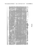 SYSTEM, METHOD AND COMPUTER MEDIUM HAVING COMPUTER PROGRAM TO DETERMINE     PRESENCE OF STRESS CORROSION CRACKING IN PIPELINES WITH PATTERN     RECOGNITION diagram and image