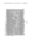 SYSTEM, METHOD AND COMPUTER MEDIUM HAVING COMPUTER PROGRAM TO DETERMINE     PRESENCE OF STRESS CORROSION CRACKING IN PIPELINES WITH PATTERN     RECOGNITION diagram and image