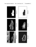 Image Search by Query Object Segmentation diagram and image