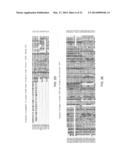 LYSM RECEPTOR-LIKE KINASES TO IMPROVE PLANT DEFENSE RESPONSE AGAINST     FUNGAL PATHOGENS diagram and image