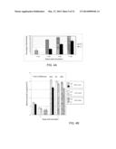 LYSM RECEPTOR-LIKE KINASES TO IMPROVE PLANT DEFENSE RESPONSE AGAINST     FUNGAL PATHOGENS diagram and image