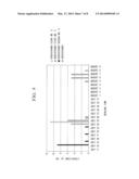 CULTIVAR, METHOD FOR DIFFERENTIATING PLANT CULTIVARS, AND METHOD FOR     CAUSING EARLIER MATURING OF RICE INDIVIDUAL diagram and image