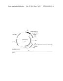 FAD2 PERFORMANCE LOCI AND CORRESPONDING TARGET SITE SPECIFIC BINDING     PROTEINS CAPABLE OF INDUCING TARGETED BREAKS diagram and image