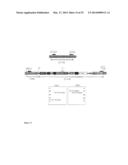 FAD2 PERFORMANCE LOCI AND CORRESPONDING TARGET SITE SPECIFIC BINDING     PROTEINS CAPABLE OF INDUCING TARGETED BREAKS diagram and image