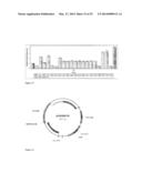 FAD2 PERFORMANCE LOCI AND CORRESPONDING TARGET SITE SPECIFIC BINDING     PROTEINS CAPABLE OF INDUCING TARGETED BREAKS diagram and image