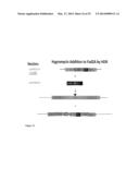 FAD2 PERFORMANCE LOCI AND CORRESPONDING TARGET SITE SPECIFIC BINDING     PROTEINS CAPABLE OF INDUCING TARGETED BREAKS diagram and image