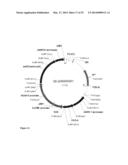 FAD2 PERFORMANCE LOCI AND CORRESPONDING TARGET SITE SPECIFIC BINDING     PROTEINS CAPABLE OF INDUCING TARGETED BREAKS diagram and image