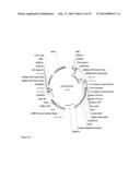 FAD2 PERFORMANCE LOCI AND CORRESPONDING TARGET SITE SPECIFIC BINDING     PROTEINS CAPABLE OF INDUCING TARGETED BREAKS diagram and image