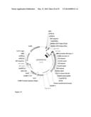 FAD2 PERFORMANCE LOCI AND CORRESPONDING TARGET SITE SPECIFIC BINDING     PROTEINS CAPABLE OF INDUCING TARGETED BREAKS diagram and image