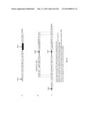 ENGINEERED TRANSGENE INTEGRATION PLATFORM (ETIP) FOR GENE TARGETING AND     TRAIT STACKING diagram and image