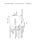 ENGINEERED TRANSGENE INTEGRATION PLATFORM (ETIP) FOR GENE TARGETING AND     TRAIT STACKING diagram and image