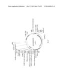 ENGINEERED TRANSGENE INTEGRATION PLATFORM (ETIP) FOR GENE TARGETING AND     TRAIT STACKING diagram and image