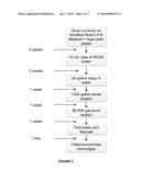 Methods and Compositions for Treating Soil and Plants diagram and image