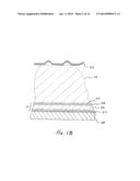 Systems and Methods for Acquiring Biometric Information diagram and image