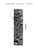 Method of Making Superhydrophobic/Superoleophilic Paints, Epoxies, and     Composites diagram and image