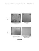 Method of Making Superhydrophobic/Superoleophilic Paints, Epoxies, and     Composites diagram and image