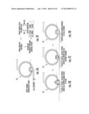 Valved, Microwell Cell-Culture Device And Method diagram and image