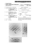 METHOD FOR OPTICAL TOMOGRAPHY diagram and image