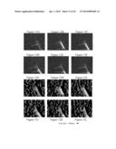 Method and System for Optical Microscopy diagram and image