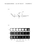 Retroreflective Member Producing Iridescent Reflected Light diagram and image