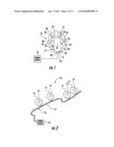 LIGHT SURROUND WITH PLANT MATERIAL ALTERED LIGHT EMISSION diagram and image