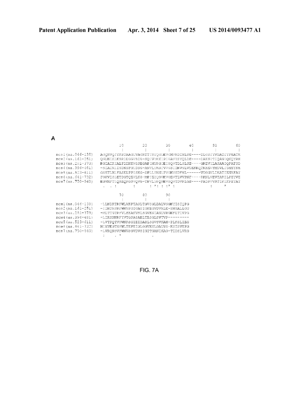 MODULATING BACTERIAL MAM POLYPEPTIDES IN PATHOGENIC DISEASE - diagram, schematic, and image 08