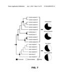 GUT MICROBIOME AS A BIOMARKER AND THERAPEUTIC TARGET FOR TREATING OBESITY     OR AN OBESITY RELATED DISORDER diagram and image