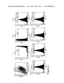 THYMIDYLATE KINASE FUSIONS AND USES THEREOF diagram and image