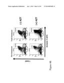 THYMIDYLATE KINASE FUSIONS AND USES THEREOF diagram and image