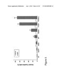 THYMIDYLATE KINASE FUSIONS AND USES THEREOF diagram and image