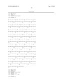 THYMIDYLATE KINASE FUSIONS AND USES THEREOF diagram and image