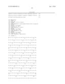 THYMIDYLATE KINASE FUSIONS AND USES THEREOF diagram and image