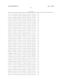 THYMIDYLATE KINASE FUSIONS AND USES THEREOF diagram and image