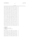 THYMIDYLATE KINASE FUSIONS AND USES THEREOF diagram and image