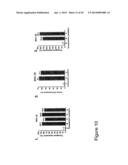 THYMIDYLATE KINASE FUSIONS AND USES THEREOF diagram and image