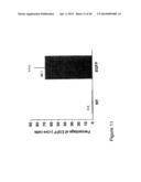 THYMIDYLATE KINASE FUSIONS AND USES THEREOF diagram and image