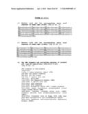 THYMIDYLATE KINASE FUSIONS AND USES THEREOF diagram and image