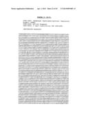 THYMIDYLATE KINASE FUSIONS AND USES THEREOF diagram and image