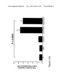 THYMIDYLATE KINASE FUSIONS AND USES THEREOF diagram and image