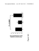 THYMIDYLATE KINASE FUSIONS AND USES THEREOF diagram and image