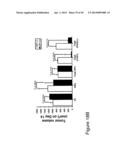 THYMIDYLATE KINASE FUSIONS AND USES THEREOF diagram and image