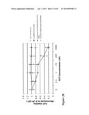 THYMIDYLATE KINASE FUSIONS AND USES THEREOF diagram and image