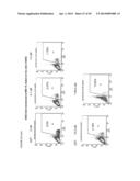 THYMIDYLATE KINASE FUSIONS AND USES THEREOF diagram and image